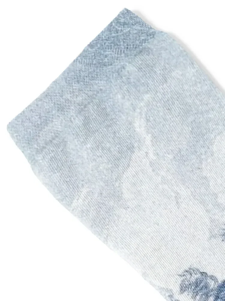 Синие китайские носки в стиле ватерлолоо детские спортивные мужские женские