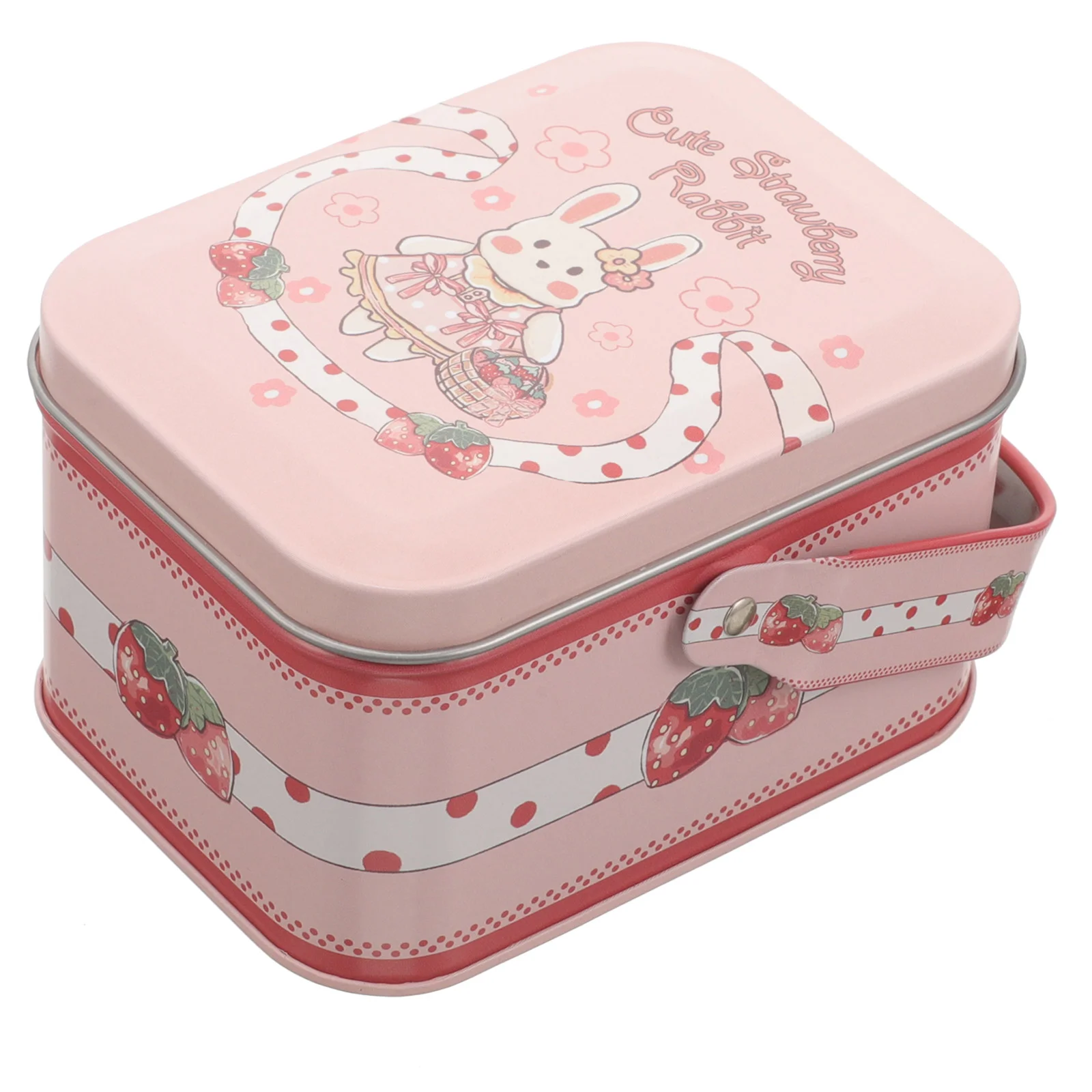 

Metal Small Objects Organizer Tin Lid Iron Case Snack Box Cookie Candy Storage