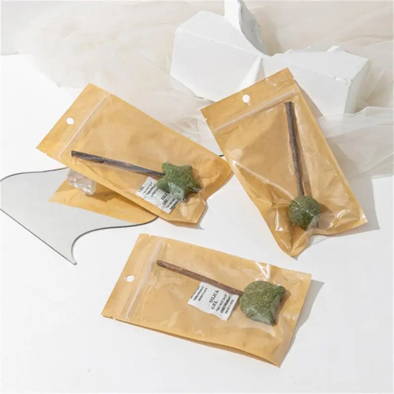 

Promote Digestion Clean Teeth Cute Shape Pet Mint Lollipop Safety Edible Multifunctional Catnip Candy Stick Healthy Catnip Ball