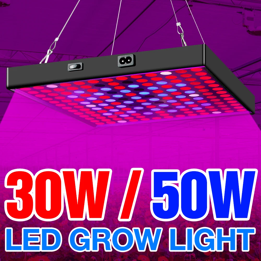LED Grow Light 20W 30W 40W 50W Growing Lamps LED Full Spectrum Plant Lamp Fitolampy For Flowers Seedling Cultivation AC85-265V