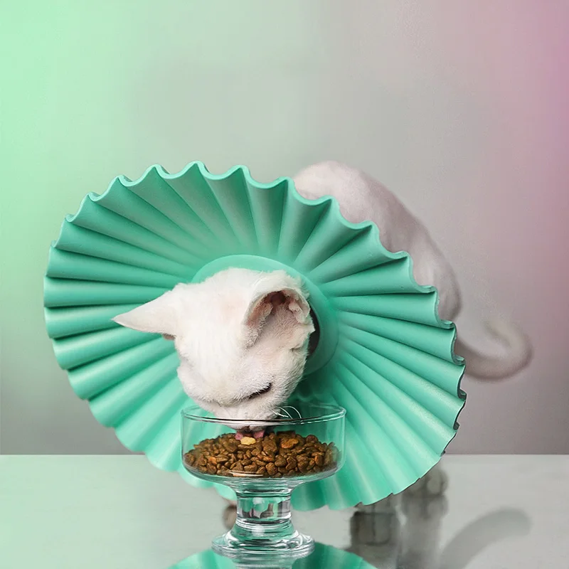 

Cat Recovery Collar Elizabethan Collar Wound Healing collar Kitten Wound Healing Protection Collar Anti-Bite Dogs Neck Collar
