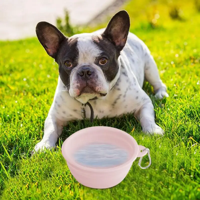 podróżna dla zwierząt Składana silikonowa miska na wodę Wielofunkcyjny karmnik z klamrą Przenośny szczelny