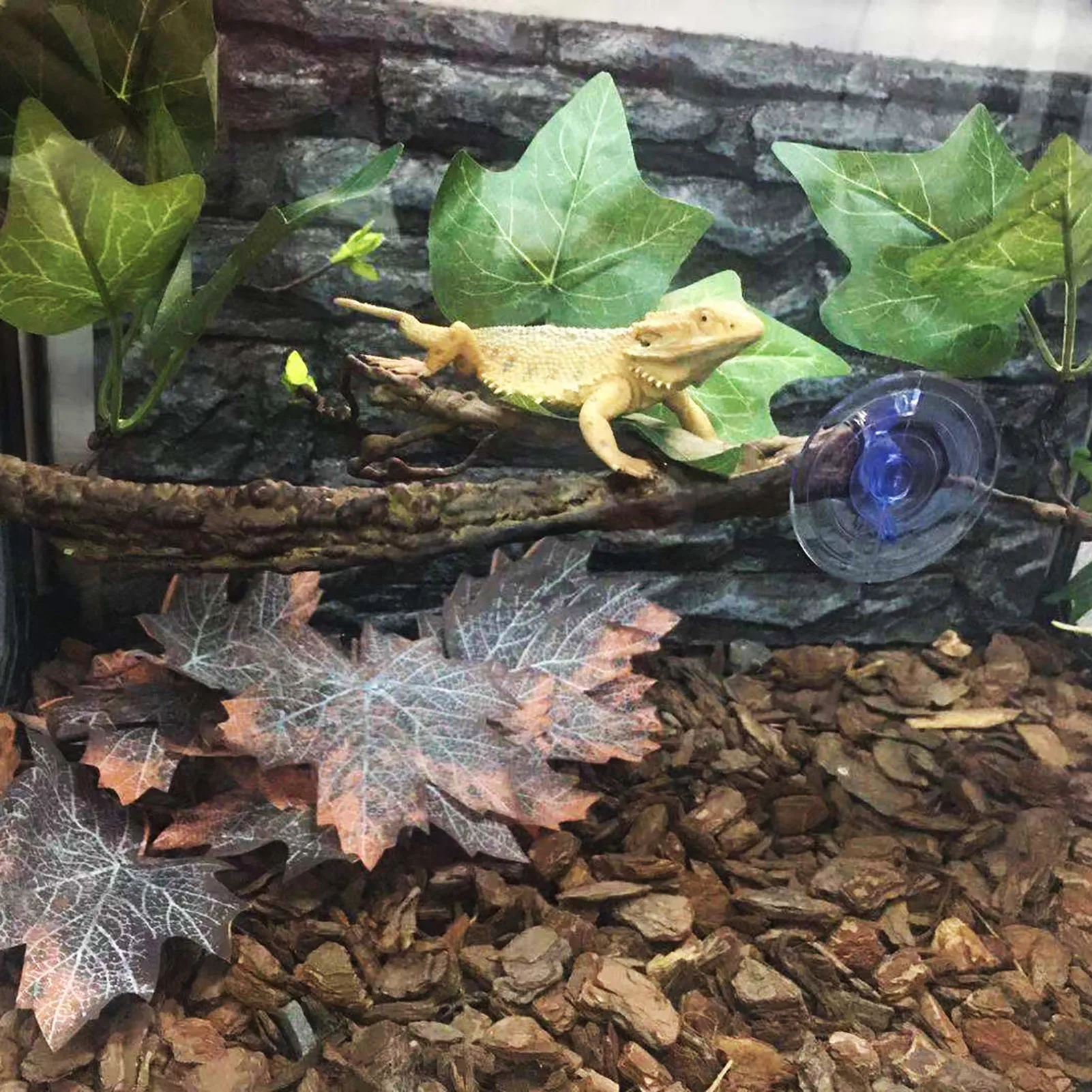 

Reptile Vines Plants With Suction Cup Flexible Jungle Climbing Vine Terrarium Plant Pet Tank Habitat Decor For Bearded Dragons