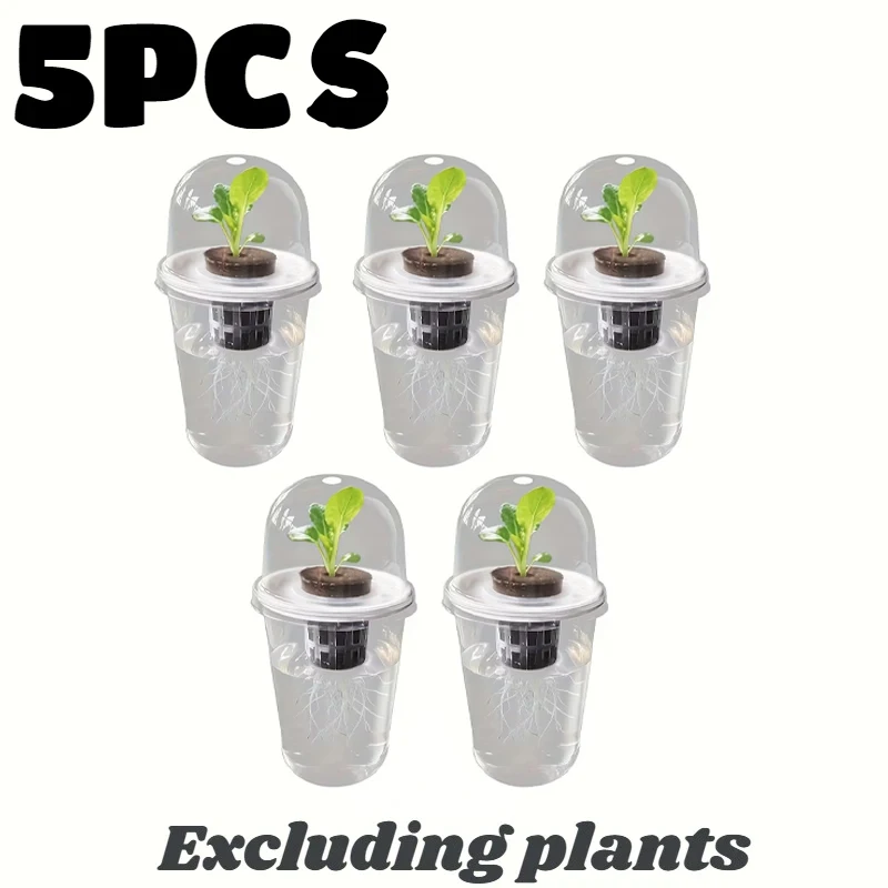 

Прозрачный стакан для проращивания семян