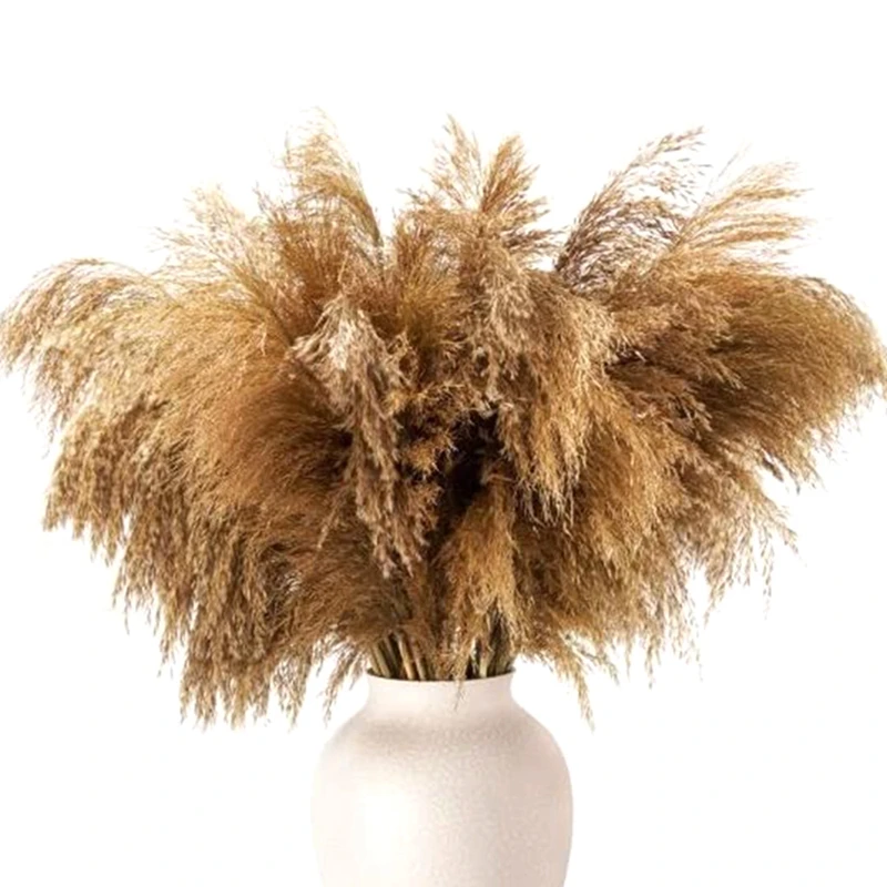 

Сушеный декор для журнального столика-Пампасы-травяной Декор Fluffy-Pompas-Floral-50-Stems маленький-помпон-натуральный-помп-трава-короткий
