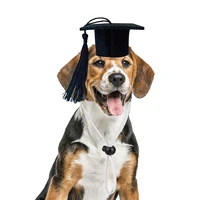 black dog graduation hats adjustable pets graduation hats mini cats graduation hat for costume party pets mini bachelor hats