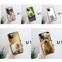havanese dog for honor 50 20 20e 20i 20s 9 9a 9c 9i 9n 9s 9x 10 10i 10x lite pro for adults black bumper painting