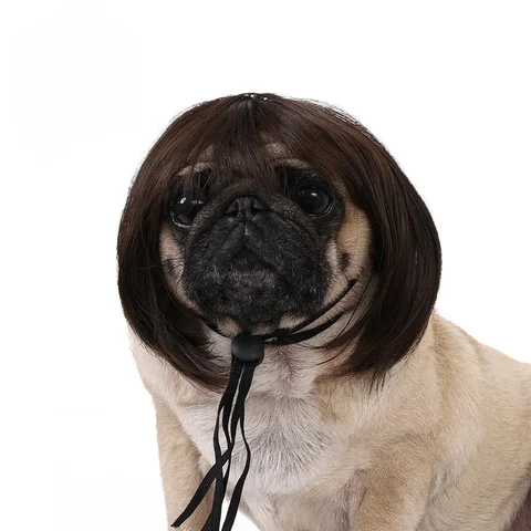 Парик для кошки