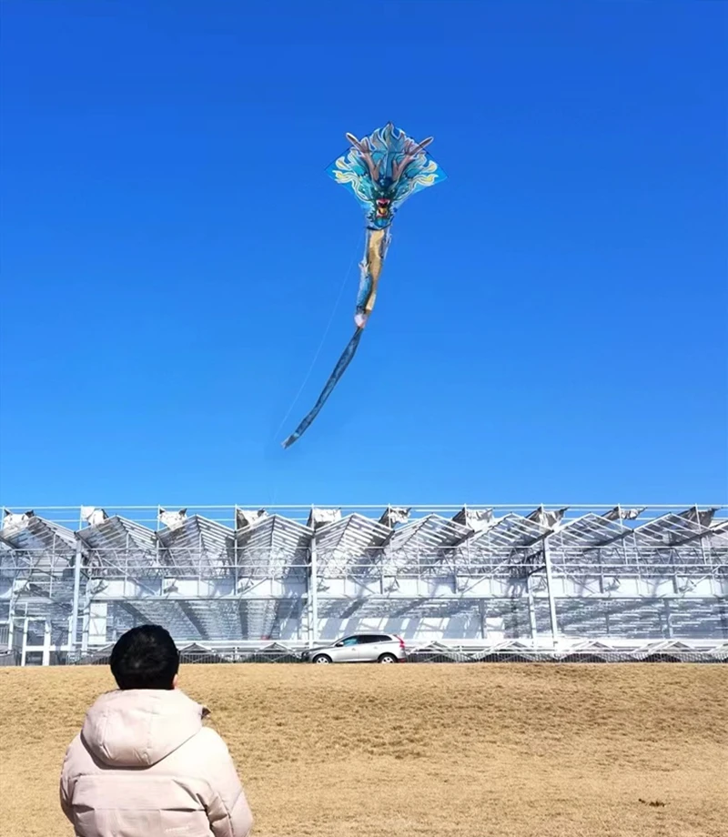 Бесплатная доставка воздушные змеи-драконы летающие игры на открытом воздухе