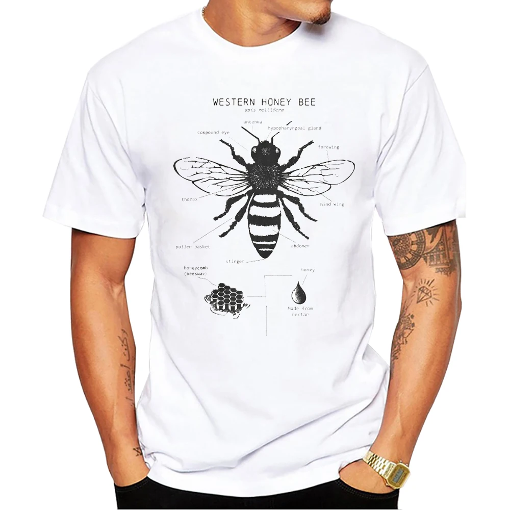 Teehub O-Ausschnitt Kurzarm Hai männlich lässig Killer wal Männer Kleidung Vintage Walhai Anatomie Druck Männer T-Shirt – Detail 6