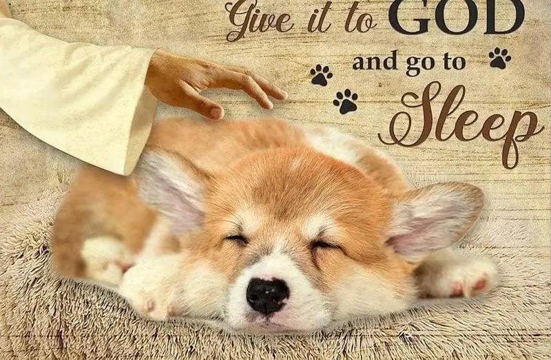 Metl Sgn Decor Tn Sleepng Corg God Gve t nd Go Sleep Dog Lover Decorn для спальни Bhtroom Cfe Wl