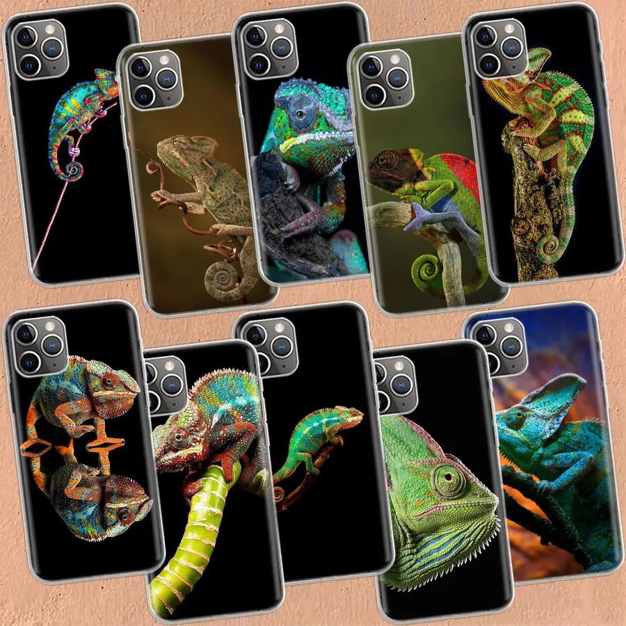 Новый кейс в кс 2022. Новый чехол переливающийся с телефоном. Кейсы кс го go2case. Новый кейс хамелеон. Змеиный укус кейс кс го.