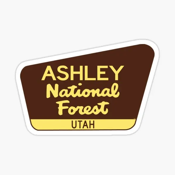 

Наклейки на автомобиль Ashley National Forest Utah, 5 шт.