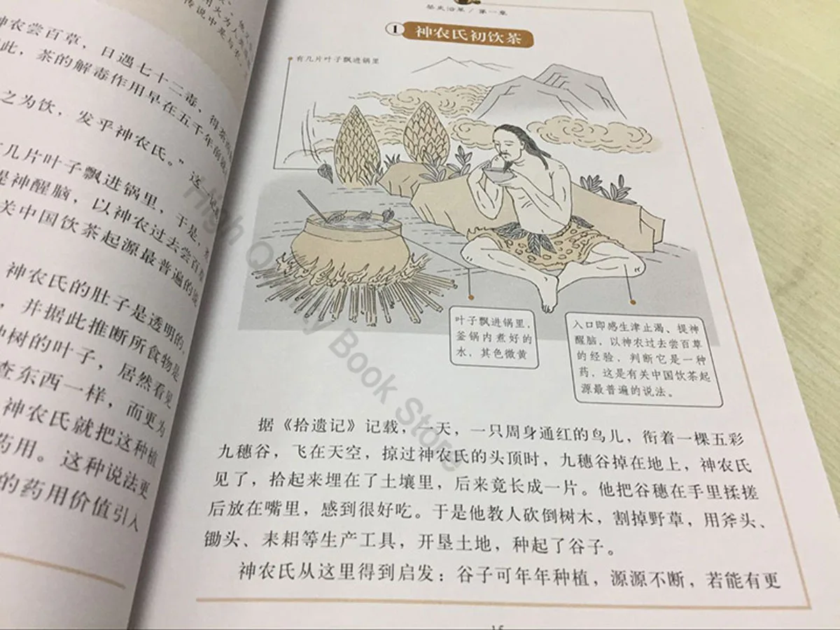 Рисунок 5 - Классика китайской чайной церемонии