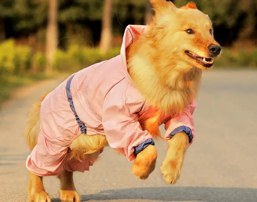 

5 Raincoats