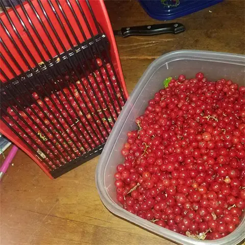 Шаги по созданию скребка из старой вилки