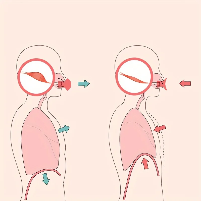 1/2 шт. тренажер для ухода за кожей лица