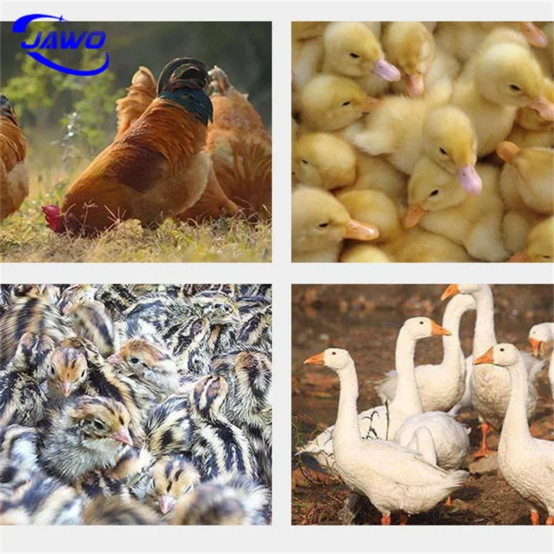 Инкубатор для куриных яиц и инкубатор 500-инкубатор онлайн