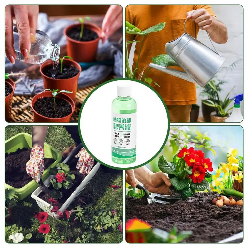 Рисунок 4 - Гормоны для интенсивного роста растений