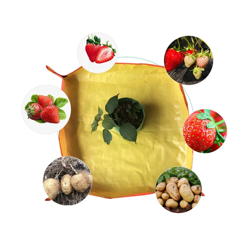 

1PCS PE Horticultural Operation Pad Meaty Pad Waterproof Replacement Pot Over Pot Green Orchid Anti-dirty Pad Planting Art Pad