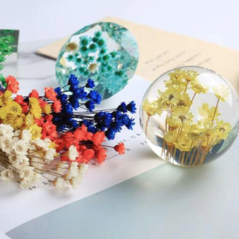 Натуральные сушеные цветы наполнители из эпоксидной смолы сделай сам