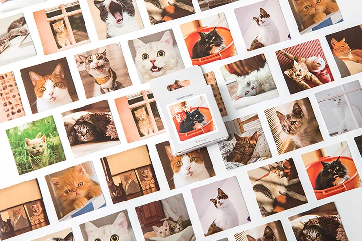 

Home cat decorative sticker(1pack)