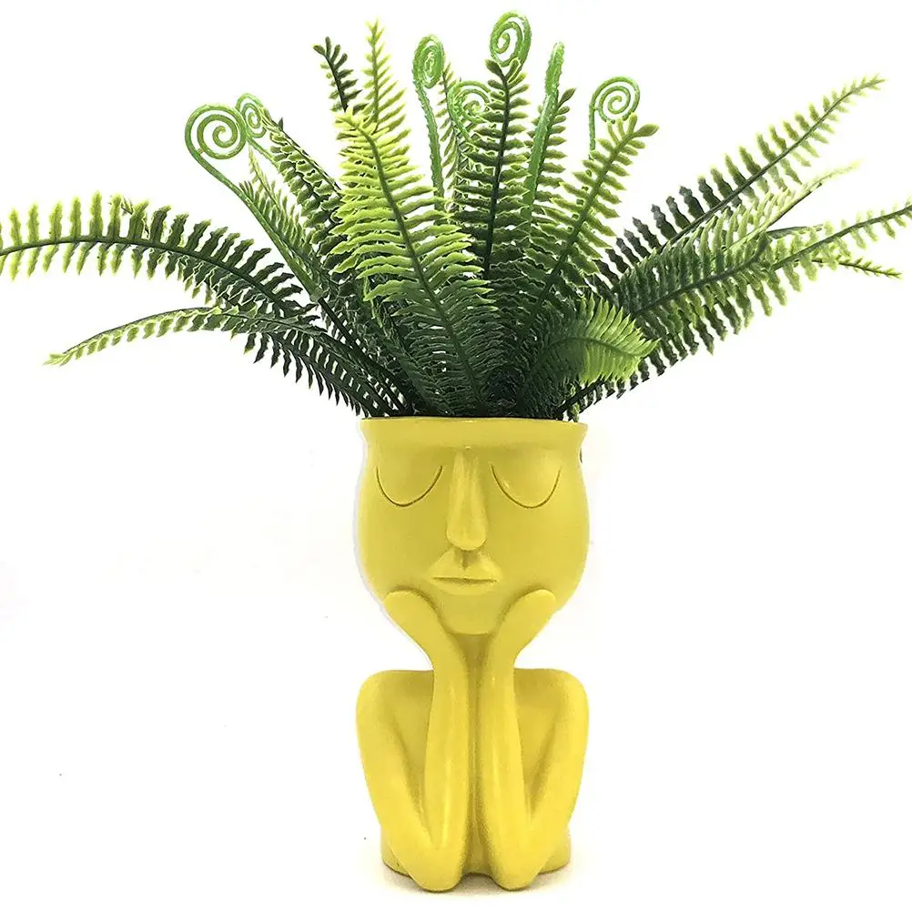 Смола сочные плантатор горшок голова лицо цветок растение ваза домашний сад