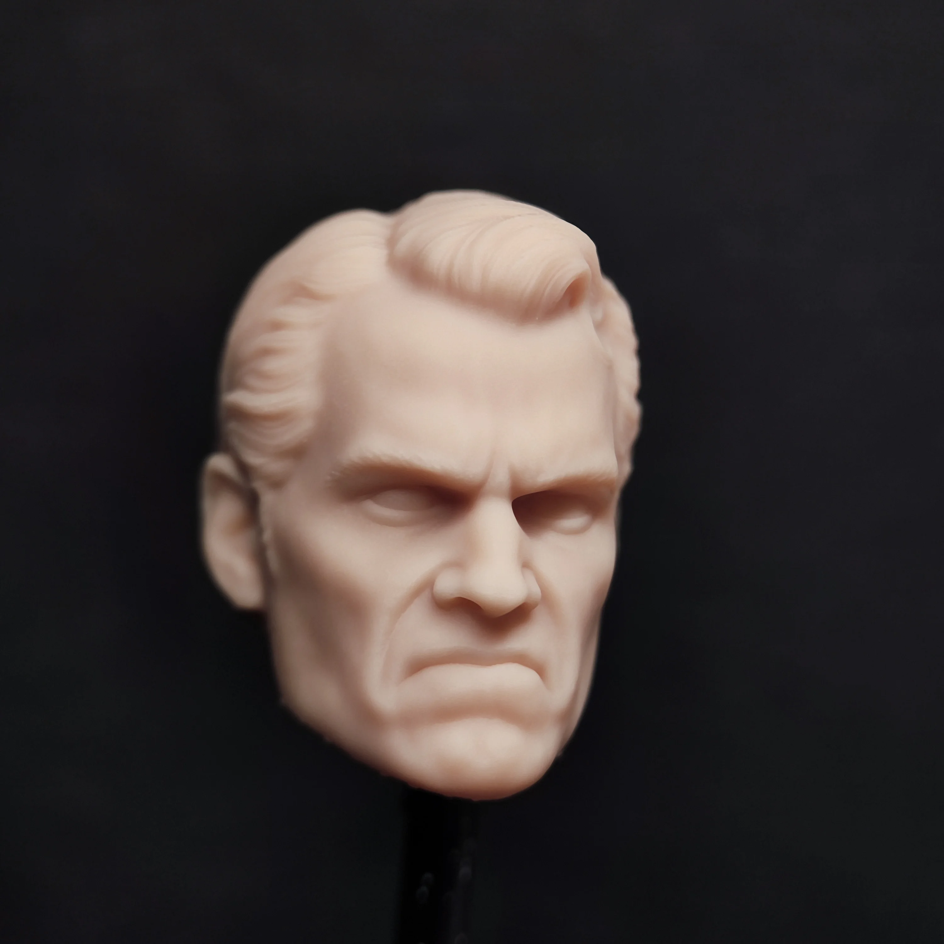 HL2049 DIY индивидуальный масштаб 1/18 1/12 1/10 неокрашенная голова для 3 75 &quot6" 7