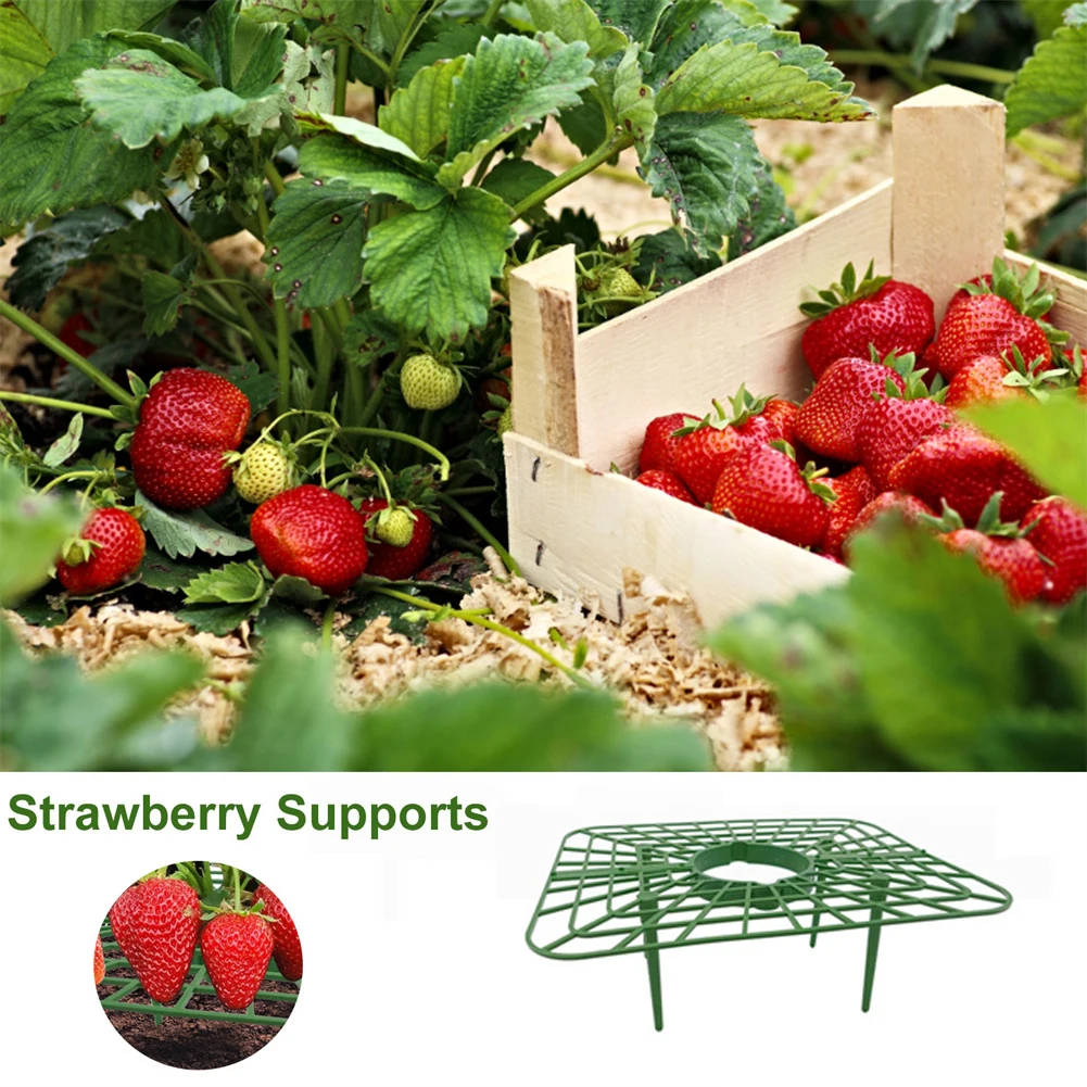 

Strawberry Stand Frame Holder Balcony Planting Rack Fruit Support Plant Flower Climbing Vine Pillar Gardening Stand