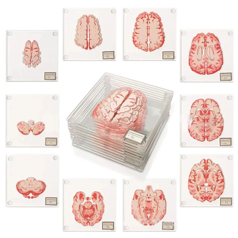 Креативная Акриловая Подставка Ужасов На Хэллоуин С Рисунком Ладони Дизайн