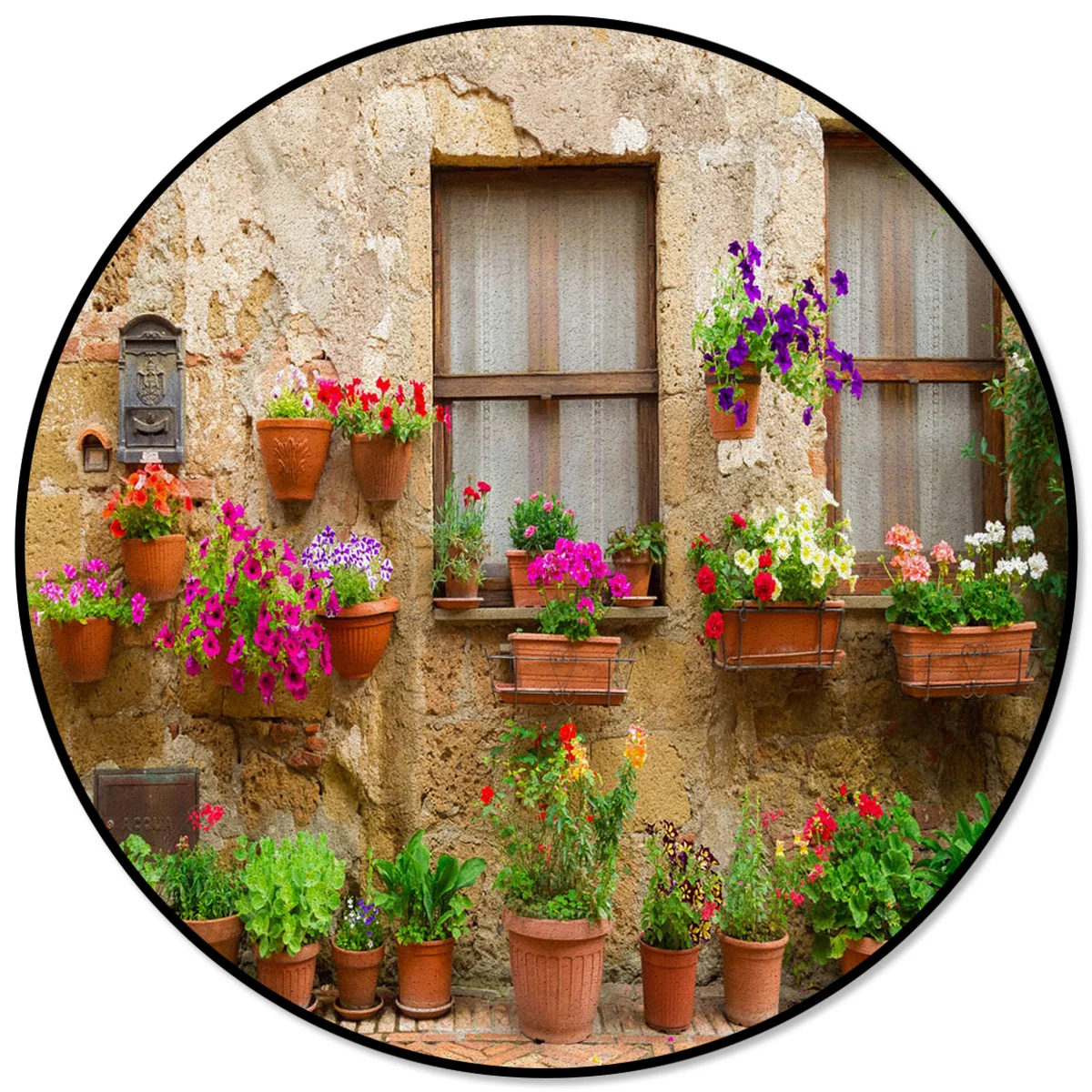 

Flowers Walls Shabby Windows Leaves Rugs And Carpets For Home Living Room Round Rug For Children Rooms Non-slip