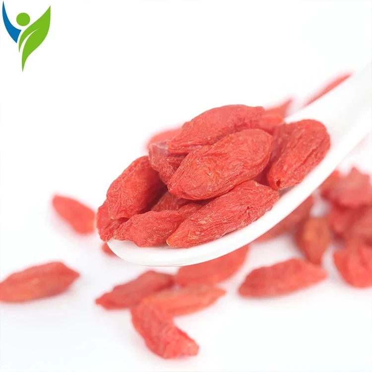 

Lycium Chinensis Goji Berry Wolfberry From Chinese Wolfberry Goqi