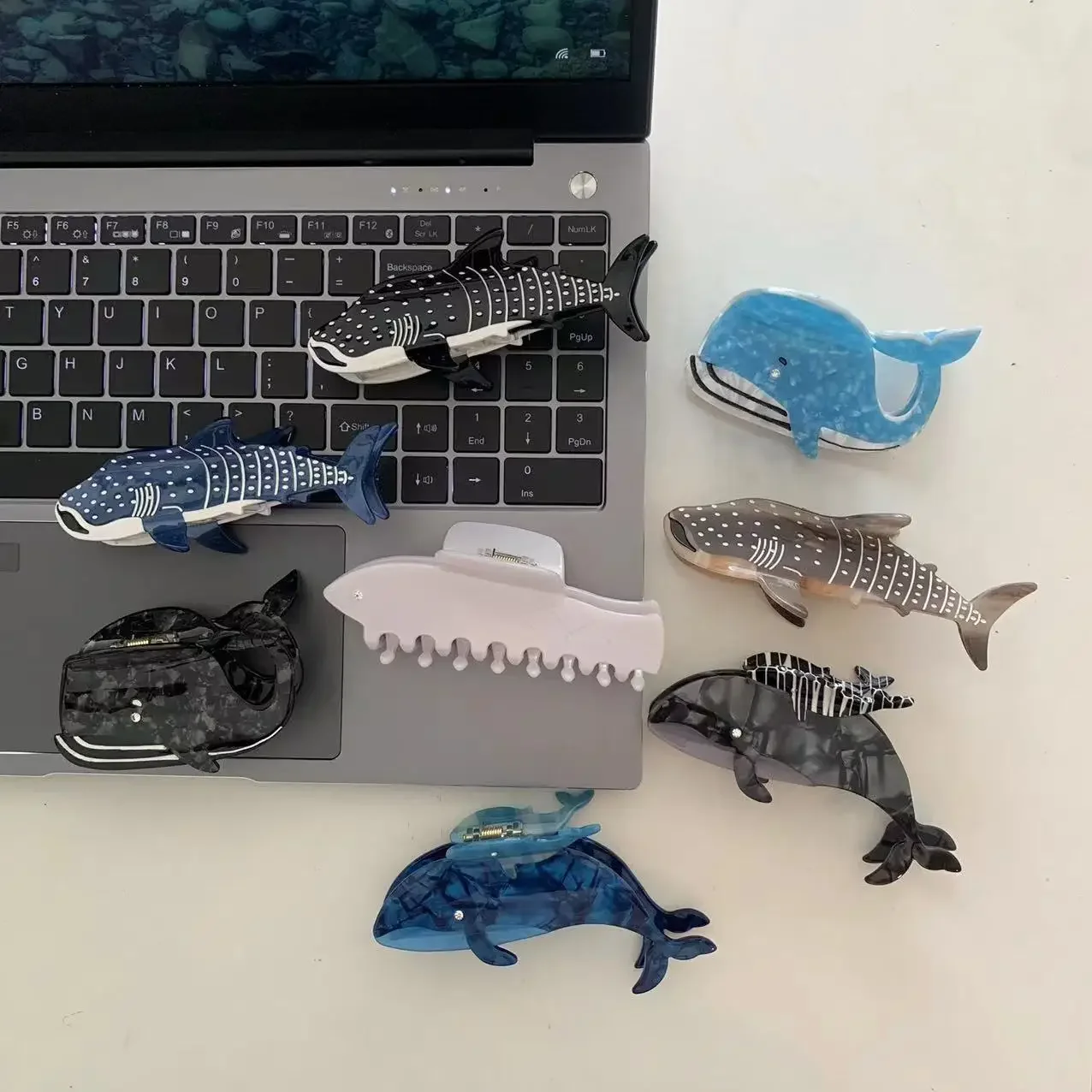 

New Shark Hair Grab Clip Alternative Acetate Black and White Blue Whale Hair Clips Cute Texture Shark Hair Accessories for Women