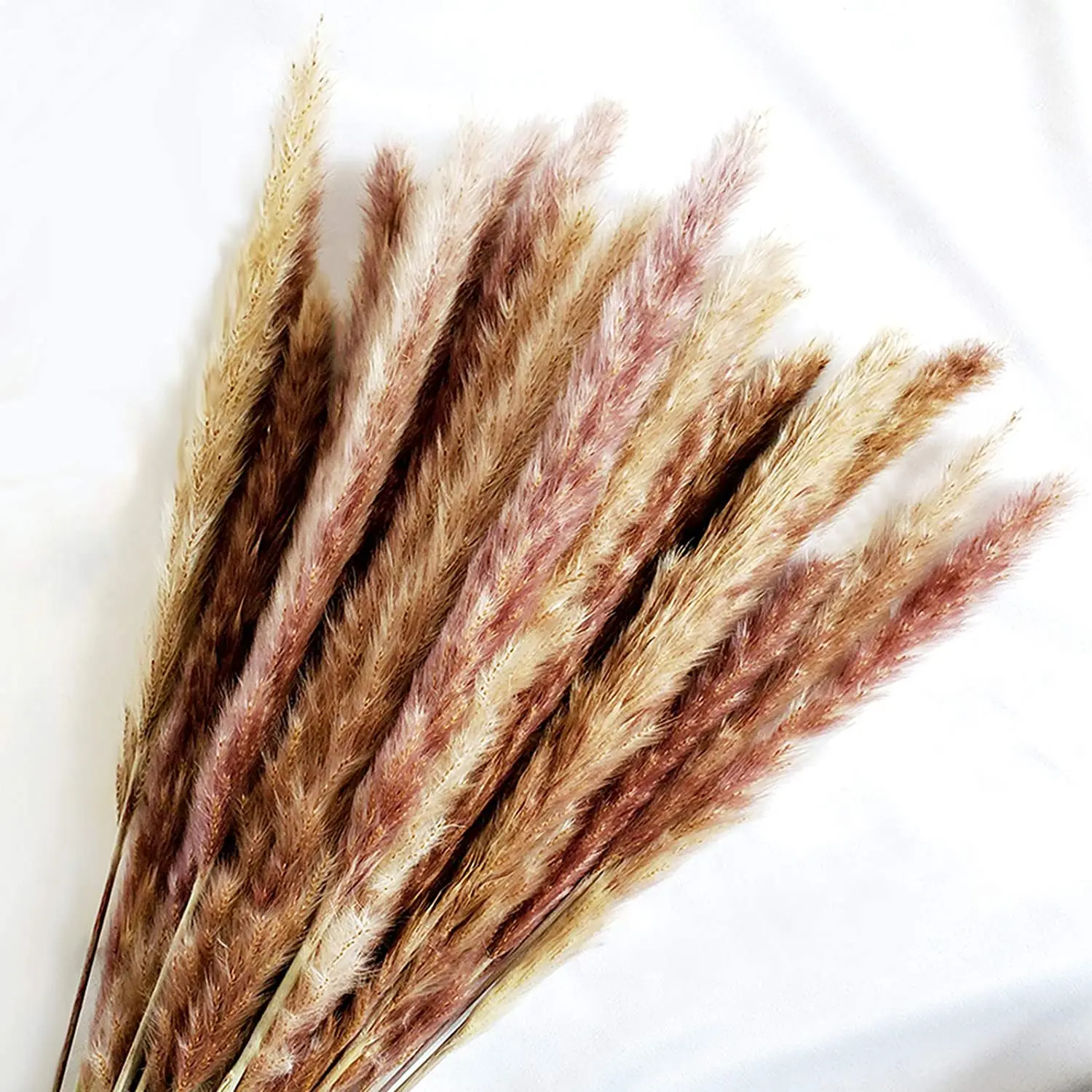 

45cm Natural Dried Pampas Grass 30pcs for Flower Arrangements Home Decor