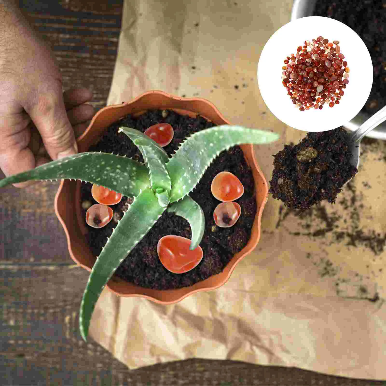 Камешки для растений суккуленты тротуарные камни декоративные садовые Юхуа