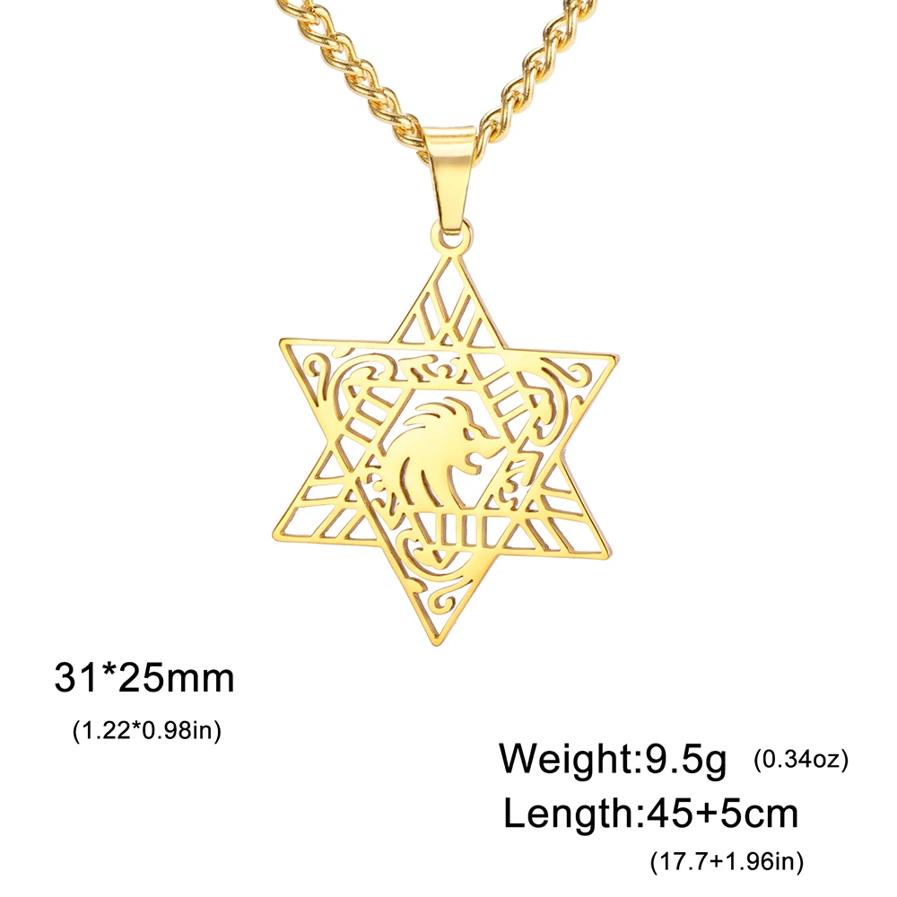 Фото Ожерелье с подвеской Dawapara Lion of Judah Magen Star of David, еврейская звезда, ожерелье с гексаграммой, защитный амулет из нержавеющей стали №3