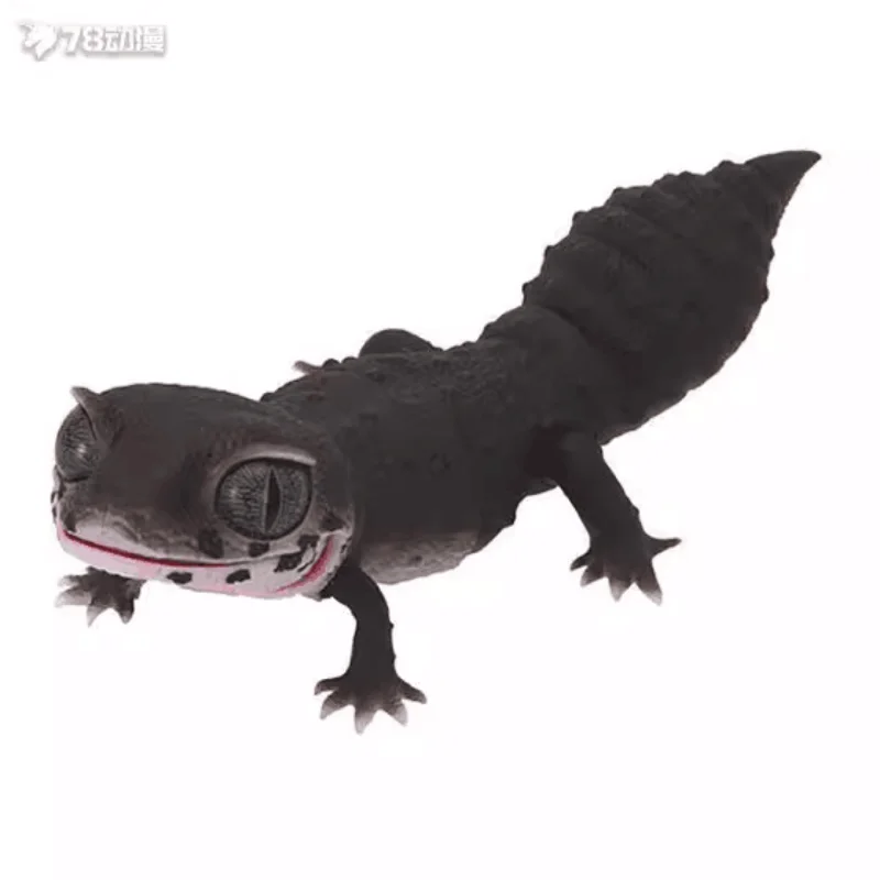 Gecko models. Gecko models