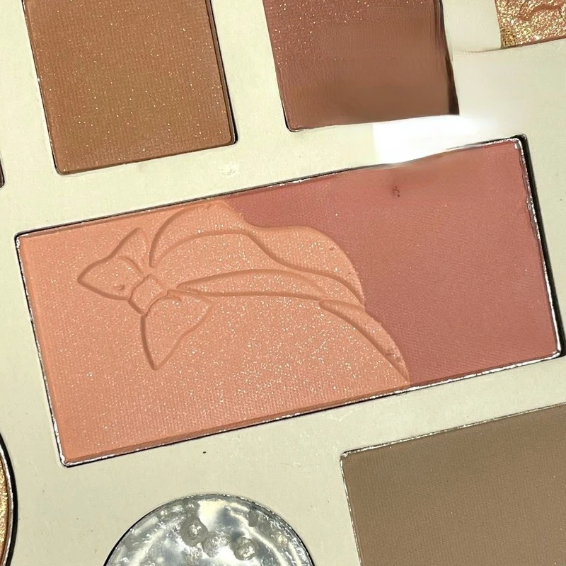 Водостойкая палитра теней для век 14 цветов матовые тени жемчужные румяна