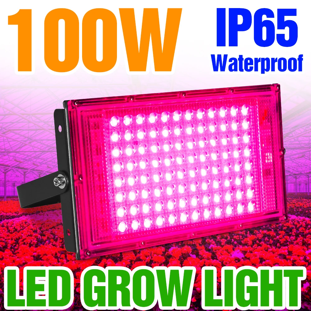 Hydroponics Grow Light 220V LED Phyto Lamp Waterproof Full Spectrum Plant Growth Light 50W 100W Phytolamp For Indoor Seedlings