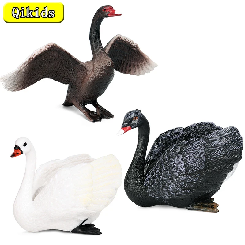 

New Farm Wild Model Simulation Black Swan White Swan Action Figures Bird Animals Eagle Figurine Miniature Lovely Kids Toys Gifts