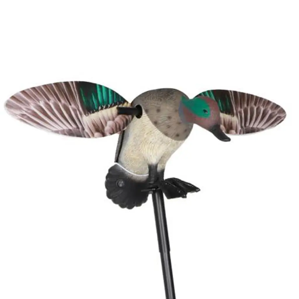 

Motion Duck Decoy, Durables Spinnings Decoys, PE Hunting Shooting Mallard Feeder Remote Control Bird Attraction