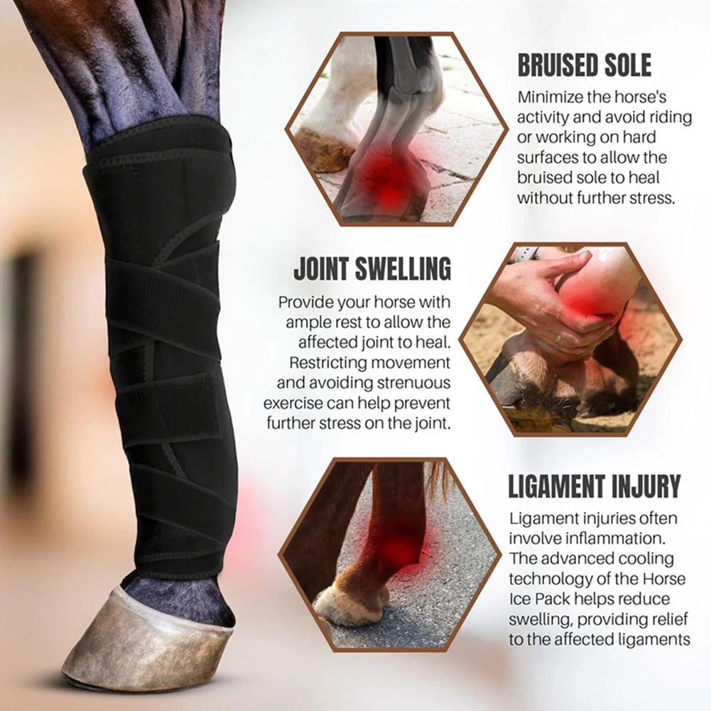 2 шт. леггинсы для лошадей амортизирующие спортивные ботинки комплект защиты