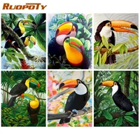 ruopoty pictures by numbers bird animals diy frame coloring by number handpaint on canvas home decoration 40x50cm