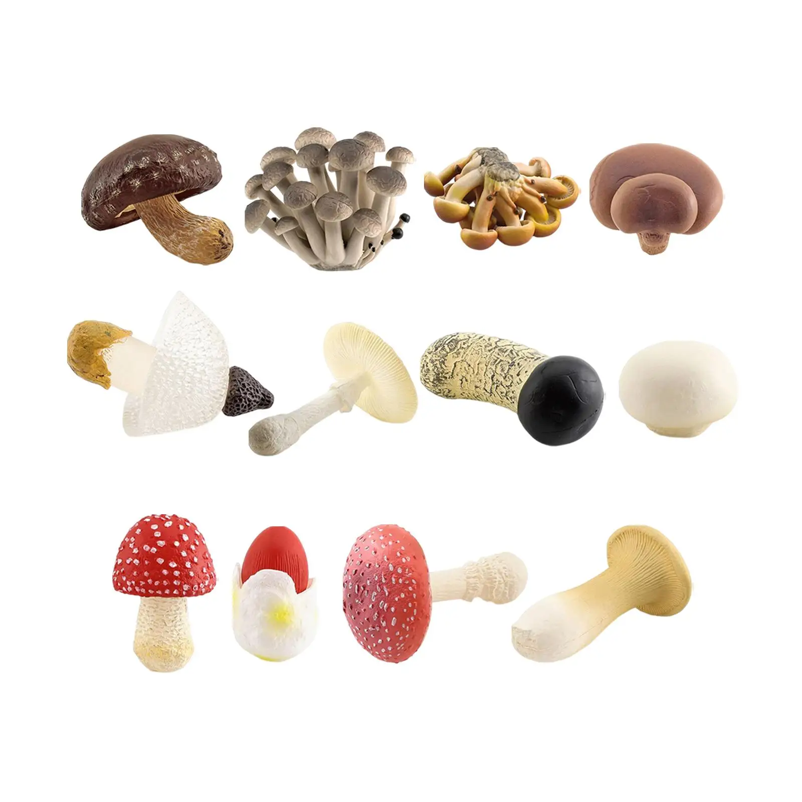 

4x Mushroom Model Cognition Toy Learning Activities Props Figurines for Scene Layouts Sand Table Scene Kindergarten Toddlers