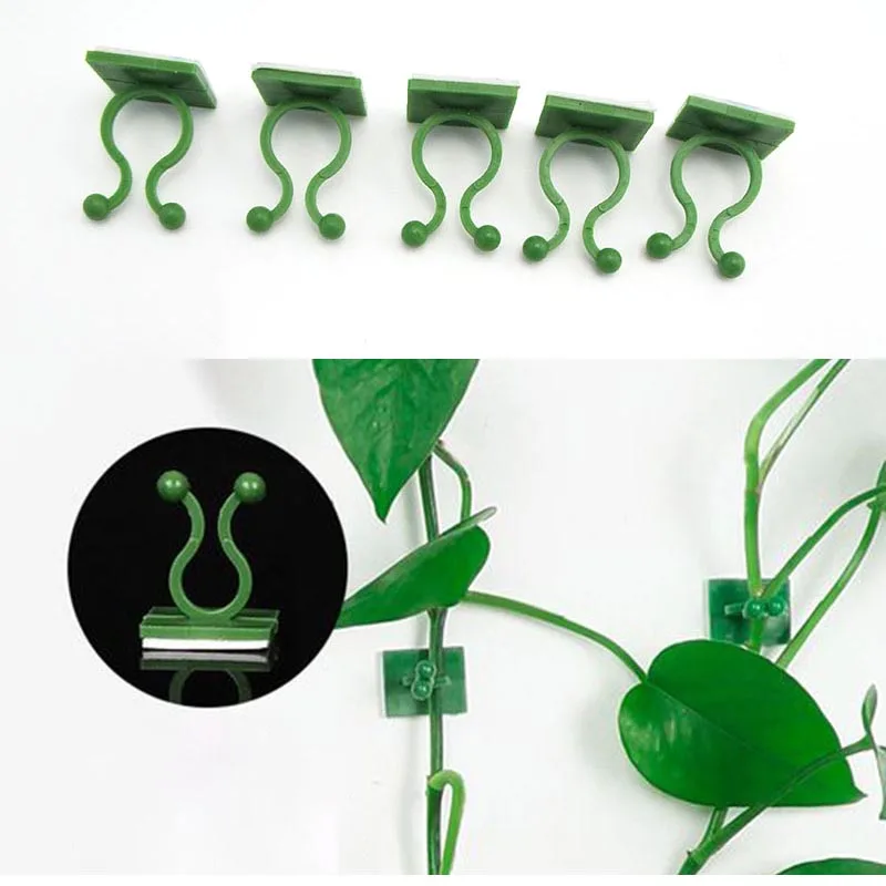 

Plant flower Climbing Wall Self-Adhesive Fixed Buckle Hook holder Fastener Tied Fixture Vine Buckle Garden accessories B4