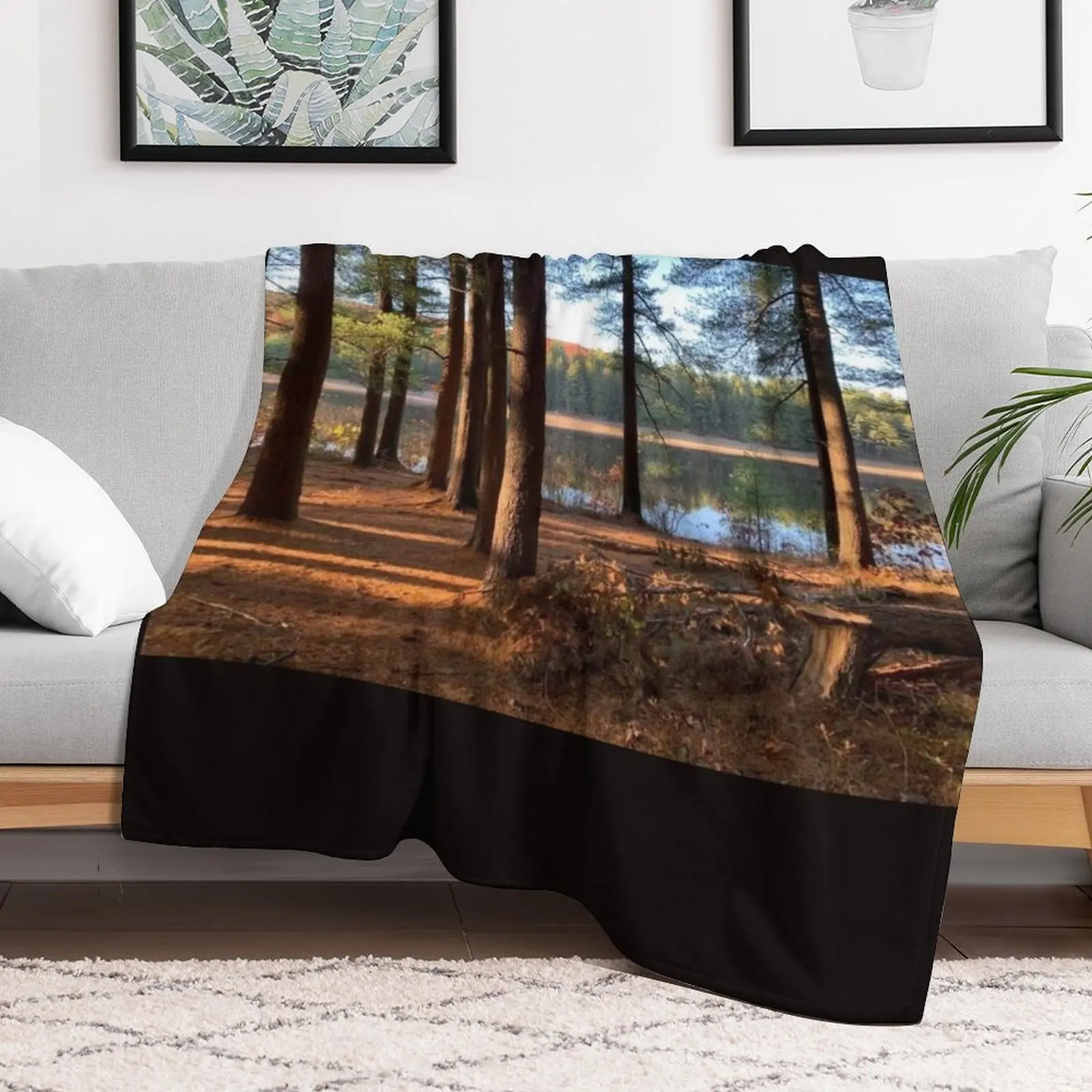 Одеяло Maxfield Parrish Landscape Photograph от Ellen Barton Harriman роскошные тонкие одеяла