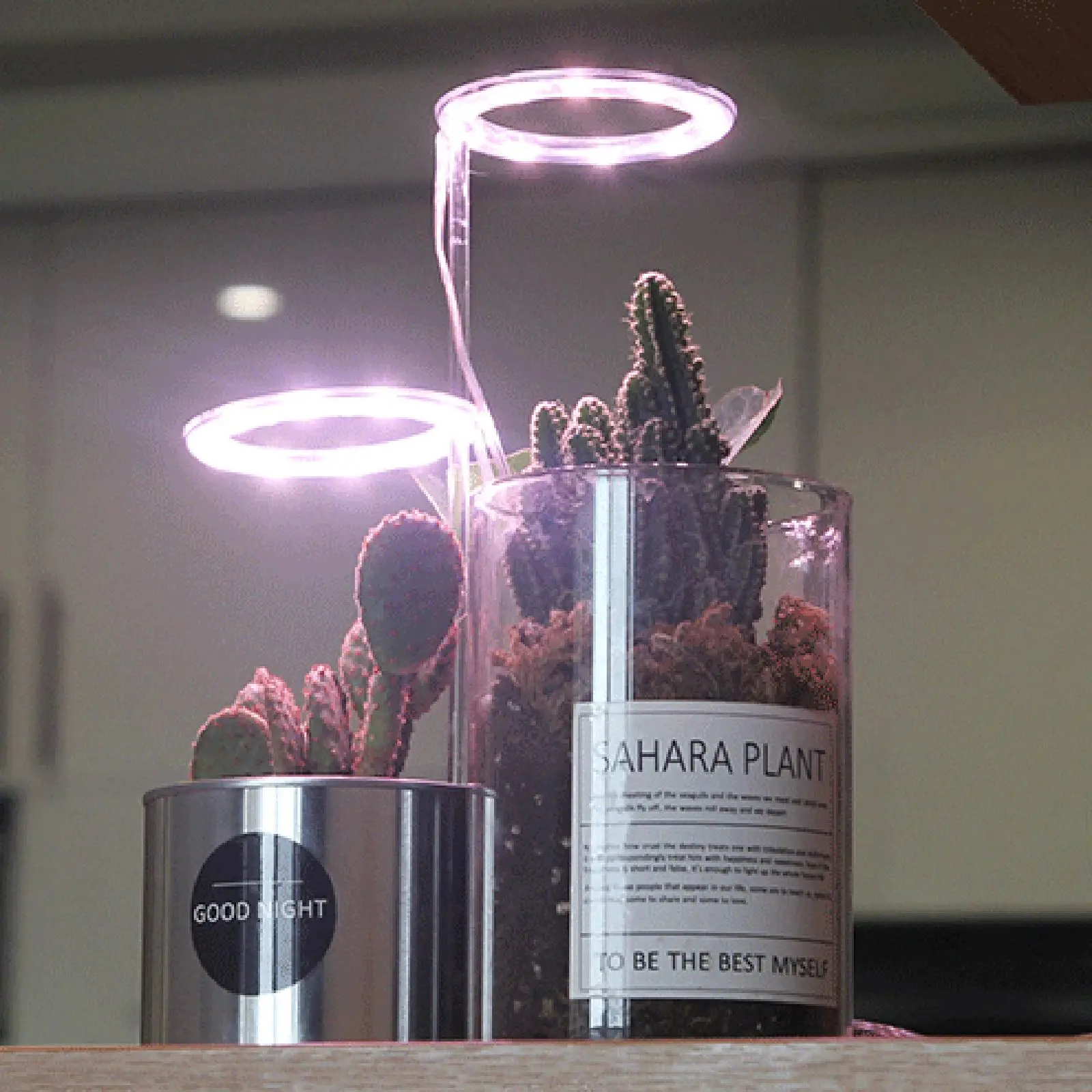 

Grow Light Full Spectrum Plants Small Growth Light Succulents Brighten Color Ring Light for Indoor Plants