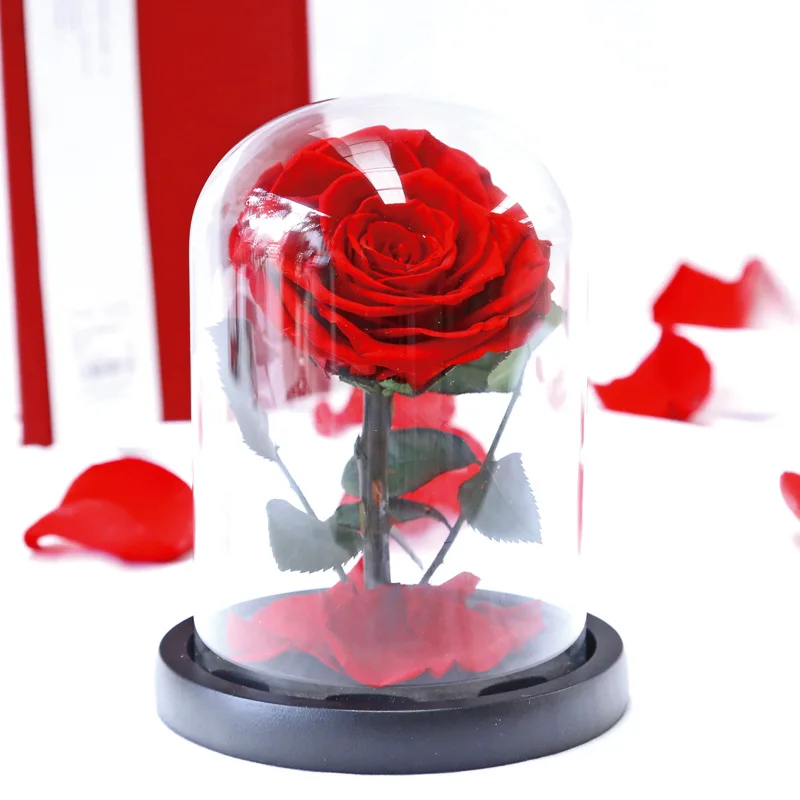 Preserved Real Rose Eternal Rose in Glass Dome Gift for Her Thanksgiving Christmas Valentine's Day Birthday Mother's Day