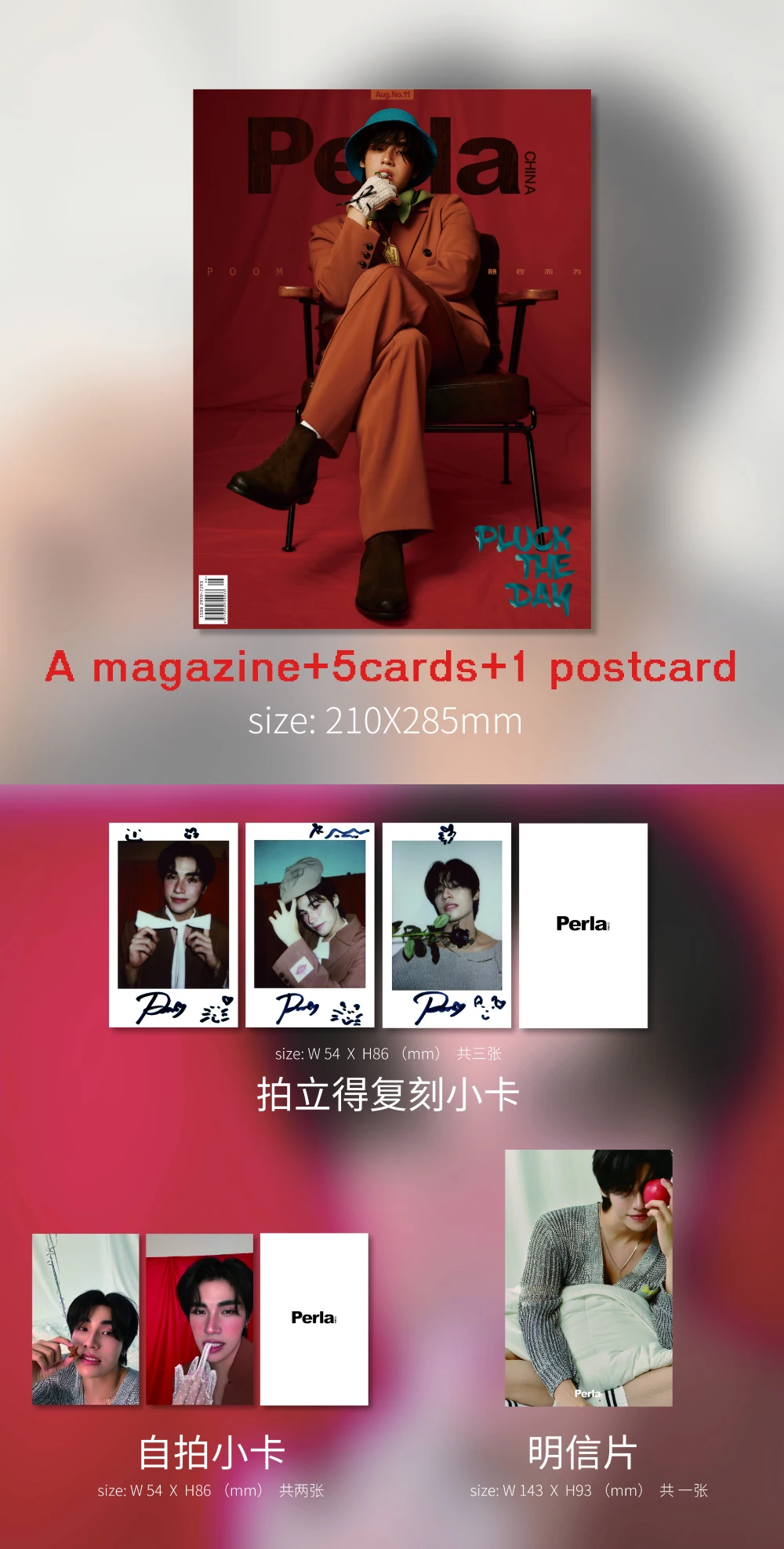 Предпродажный журнал Poom Perla POOM UPPOOM My Stand-in/Professional Body China Album ตัวของmagazines Magazines +