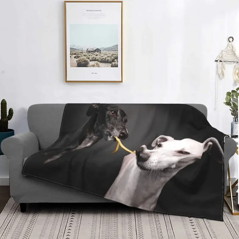 

Greyhound Whippet Lurcher Galgo Dog Coral Fleece Autumn/Winter Soft Throw Blankets for Travel Bedding Throws